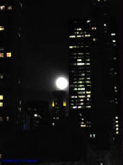 fullmoonnyc.jpg